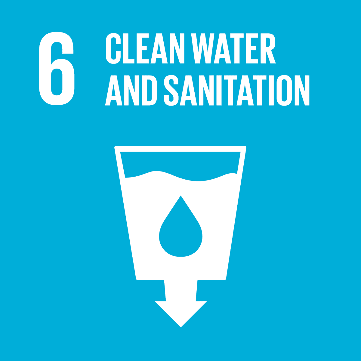 sdg13
